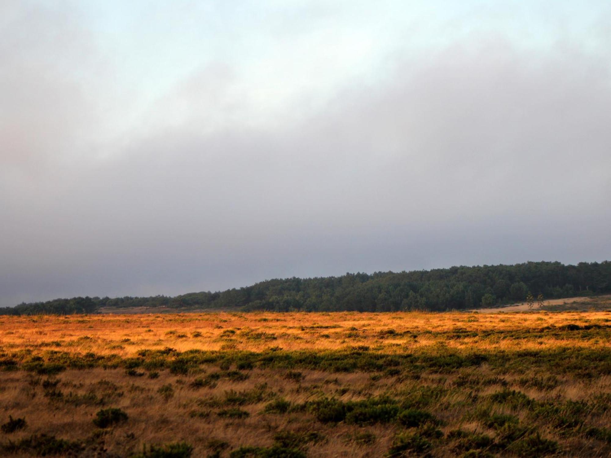 Monte De Santo Antonio - Turismo Rural Vila do Bispo Exteriör bild